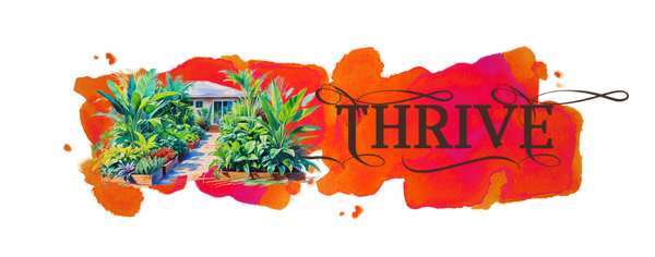 Collection grows in zone 13 mobile