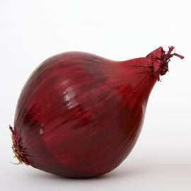 A single, deep-red onion with a smooth, glossy skin on a white background.