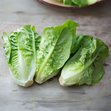 Three pieces of green lettuce on a wooden surface
