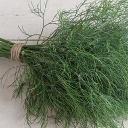 Microgreen Dill Dukat - 0