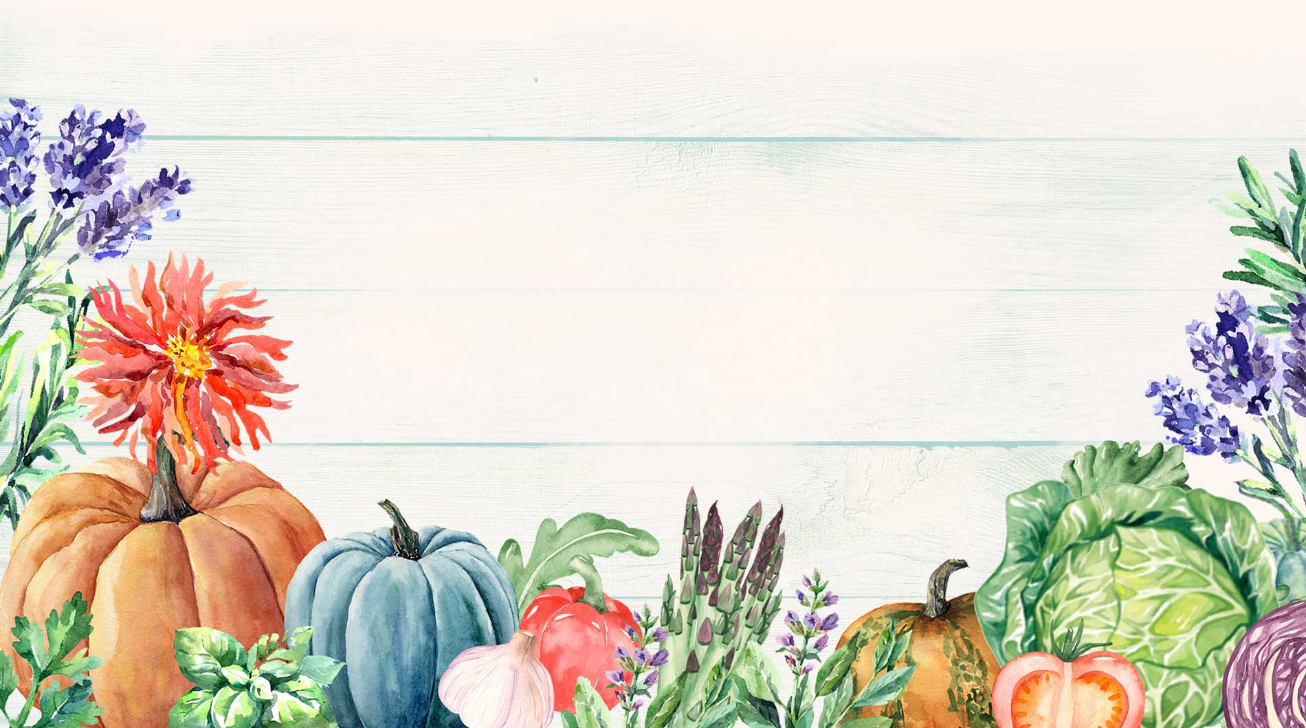 Your life line for gardening and sprouting seeds.