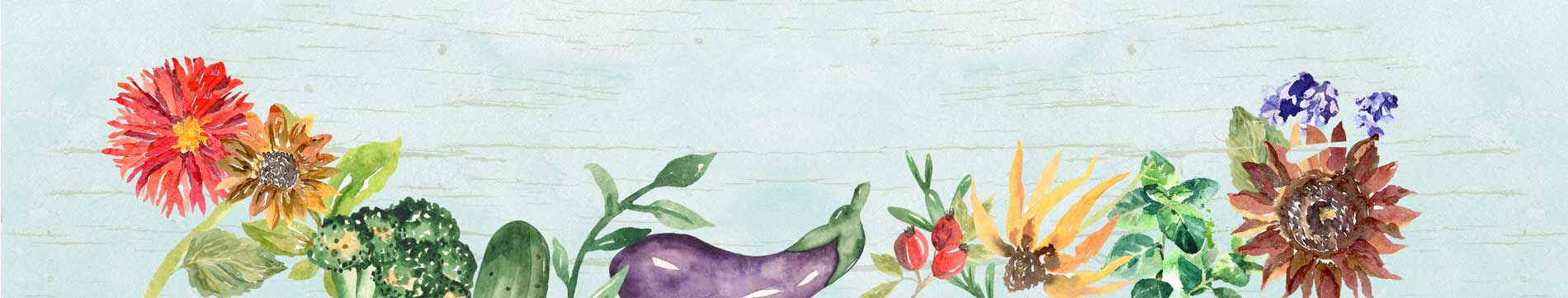 Seed Matchmaker