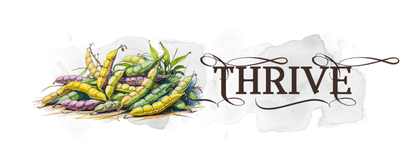 Collection beans mobile