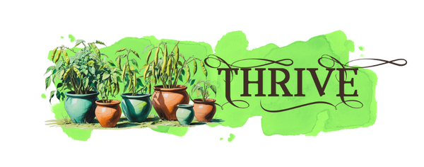 Collection bush beans mobile