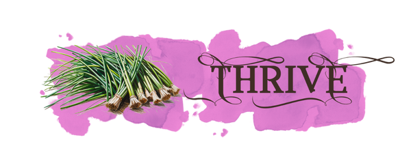 Collection chives mobile