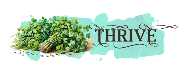 Collection cilantros mobile