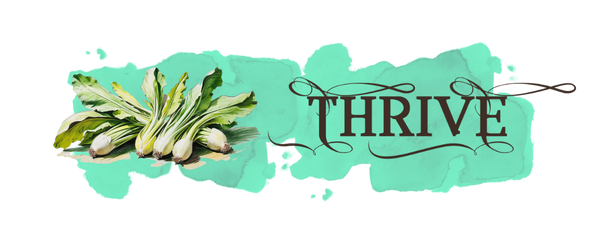 Collection endives mobile