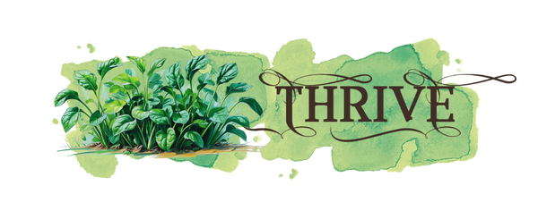 Collection spinaches mobile