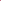 Flower Sweet William Pinks Seeds