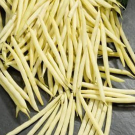 A pile of yellow Bush Goldilocks beans spread out on a surface.