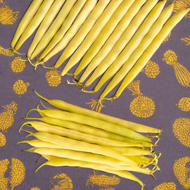 A collection of yellow bean pods laid out on a surface with a patterned background.