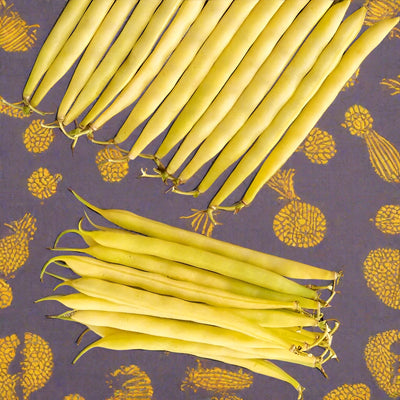 A collection of yellow bean pods laid out on a surface with a patterned background.