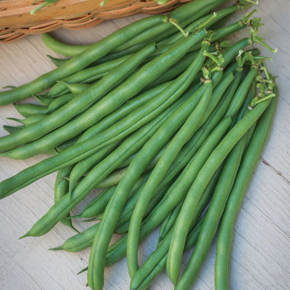 Green beans on a wooden surface with a basket of green beans in the background