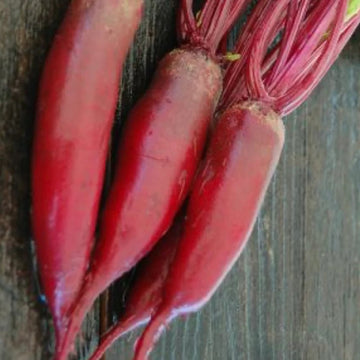 A group of red cylindrical beets with green tops, laid out on a wooden surface.