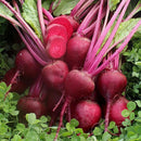 A cluster of red beets with tall green leaves, partially harvested, showing both whole beets and a cut beet revealing the inside.