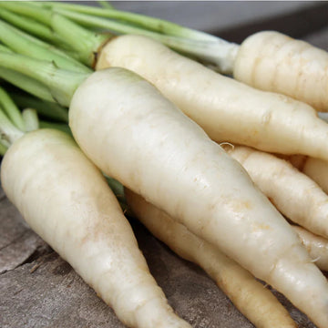 A bunch of white carrots with green tops on a wooden surface.