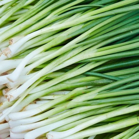 A close-up image of fresh chives, with long green stalks and white roots.