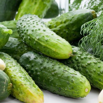 A pile of fresh green cucumbers with visible ridges and slight imperfections, indicating their natural growth.