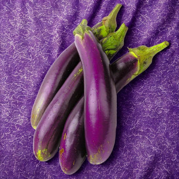 A cluster of long purple eggplants with green caps against a purple background.