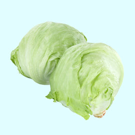 Two fresh heads of Iceberg lettuce (Lactuca sativa) with crisp green leaves.