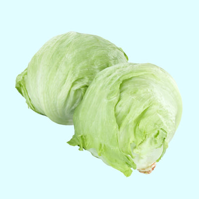 Two fresh heads of Iceberg lettuce (Lactuca sativa) with crisp green leaves.