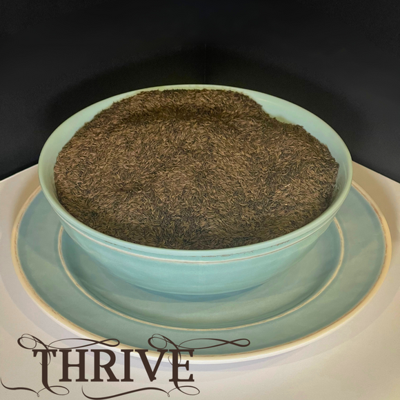 Lettuce Crisphead Iceberg Seeds