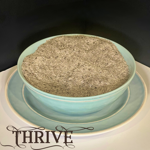 Lettuce Romaine Parris Island Cos Seeds