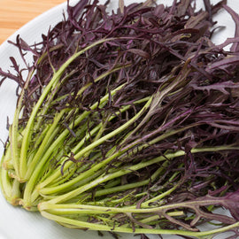 A bunch of Mizuna Purple Mustard leaves with vibrant purple and green colors.