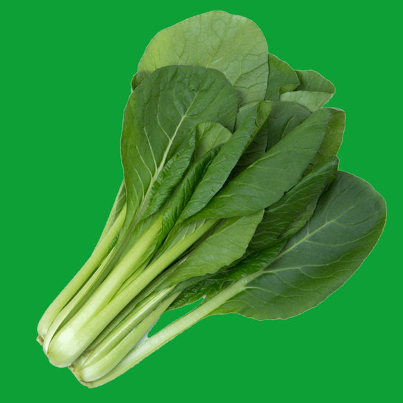 A fresh bunch of Mustard Tendergreen leaves with smooth, green leaves and white stems.