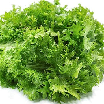 A bunch of fresh green mustard wasabi leaves.