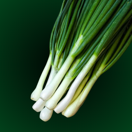 A bunch of Tokyo Long White Bunching Onion seeds with long green stalks and white bulbs.