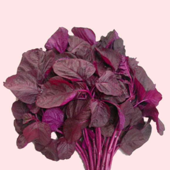 A bunch of red orach leaves with vibrant purple and dark green colors.