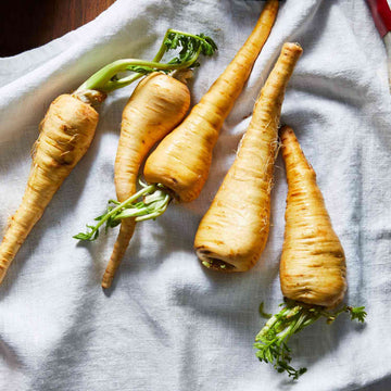 A collection of fresh parsnips with green tops on a light-colored surface.