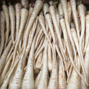 A bunch of white parsnips with smooth skin, arranged in a dense, overlapping display.