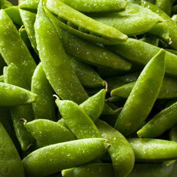 A close-up of fresh green Sugar Ann Snap Peas with visible water droplets, indicating they have been recently washed or harvested.
