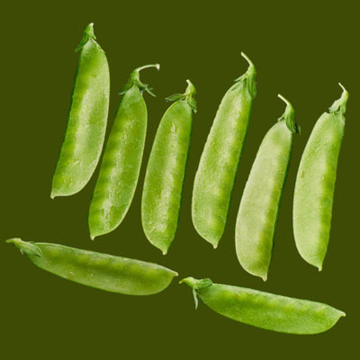 A collection of fresh green snow peas against a green background.