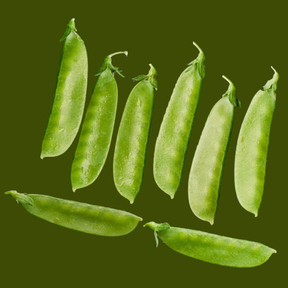 A collection of fresh green snow peas against a green background.