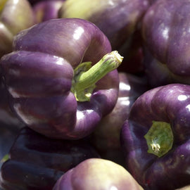 A close-up of fresh purple bell peppers showing their vibrant color and smooth surface.