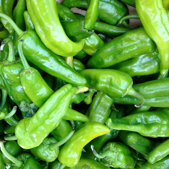 A pile of fresh green Anaheim hot peppers.