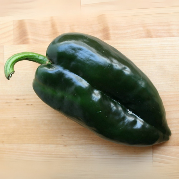 Pepper Mild Poblano Seeds