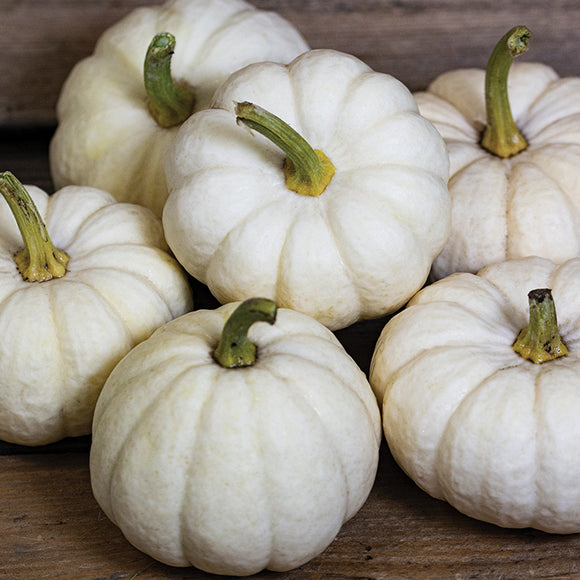 A group of small, white Baby Boo pumpkins with green stems, arranged on a wooden surface.