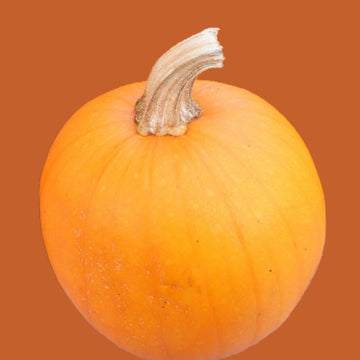A single orange pumpkin with a stem on a brown background.