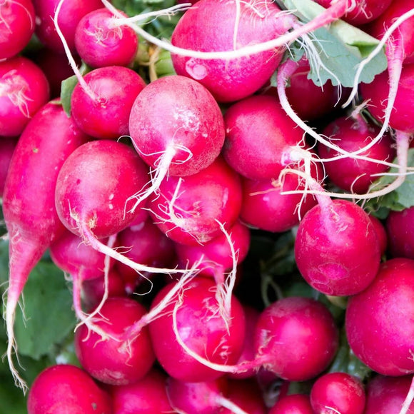 A bunch of vibrant pink radishes with green stems, closely packed together.
