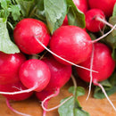 A bunch of red Cherry Belle radishes with green leaves attached, laid out on a wooden surface.