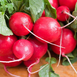 A bunch of red Cherry Belle radishes with green leaves attached, laid out on a wooden surface.