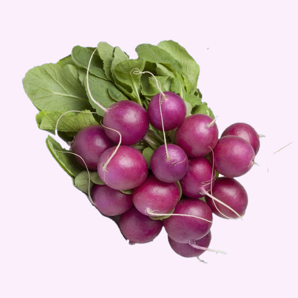 A bunch of purple beauty radishes with deep purple skin and green leaves.