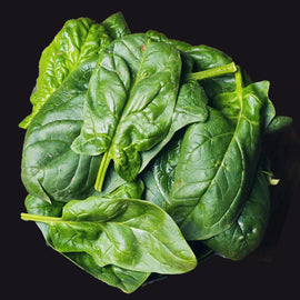 A bunch of fresh green Giant Noble spinach leaves.