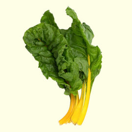 A fresh bunch of Swiss Chard with golden yellow stalks and dark green leaves.