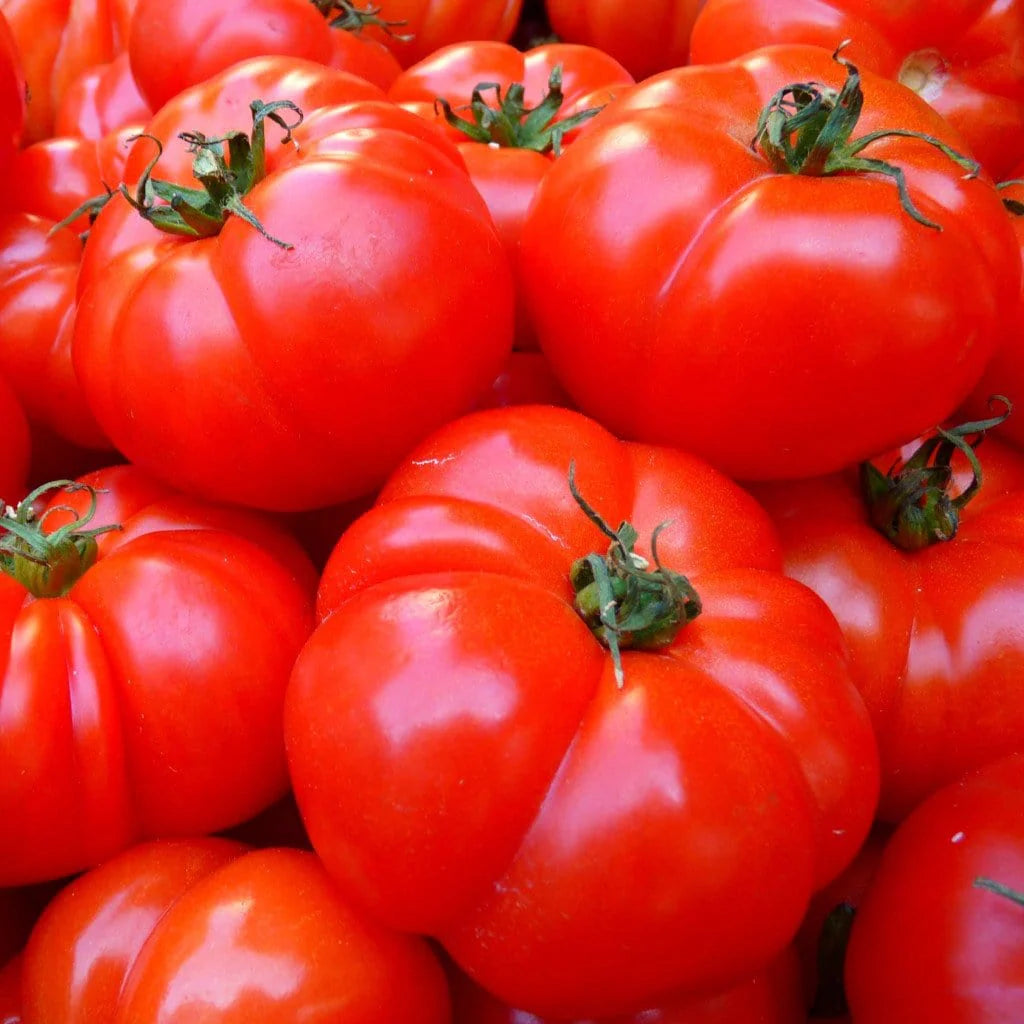 Tomato Brandywine Red Seeds - 0