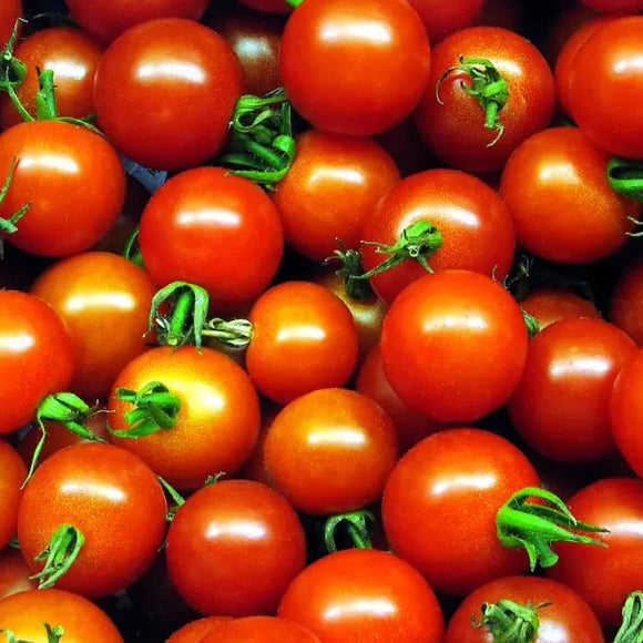 A close-up image of cluster of cherry red tomatoes with green stems.